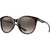 Tortoise / Brown Gradient Tortoise / Brown Gradient