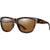 Tortoise / Brown Tortoise / Brown