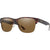 Matte Tortoise / Brown Matte Tortoise / Brown