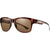 Havana / Brown Havana / Brown
