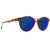 Havana Tortoise  /  Vintage Gray Blue Flash Havana Tortoise  /  Vintage Gray Blue Flash