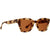 Dusty Tortoise Satin / Wild Bronze Dusty Tortoise Satin / Wild Bronze