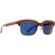 Havana Tortoise / Vintage Grey -Blue Flash Havana Tortoise / Vintage Grey -Blue Flash