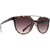 Tortoise w / Brown Gradient Tortoise w / Brown Gradient