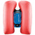Blue/Red Blue/Red