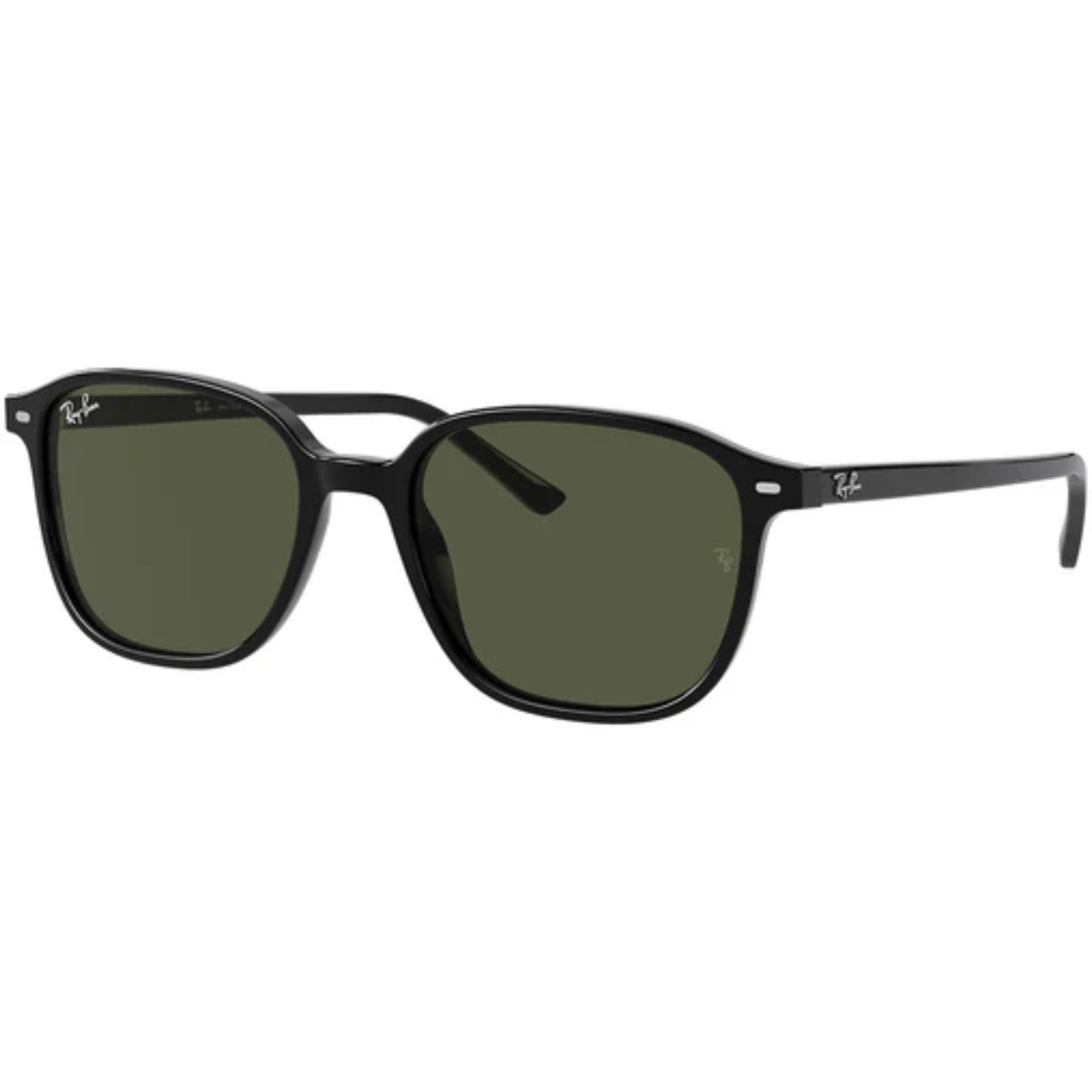 Ray-Ban Leonard Adult Lifestyle Sungl-0RB2193