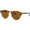 Spotted Brown Havana B-15 Brown