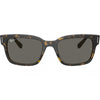 Ray-Ban Jeffrey Men's Lifestyle Sunglasses (Brand New)