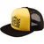 Black / Gold