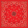 Red Paisley