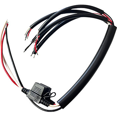 Custom Dynamics Shark Demon 2 Wire Harness Motorcycle Accessories
