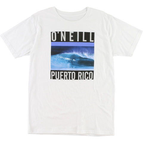 O'Neill Puerto Perfect Men's Short-Sleeve Shirts (Brand New)