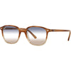 Tortoise Blue / Brown Gradient